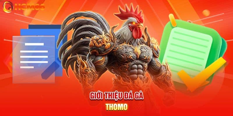 Giới thiệu đá gà Thomo tại HCM66