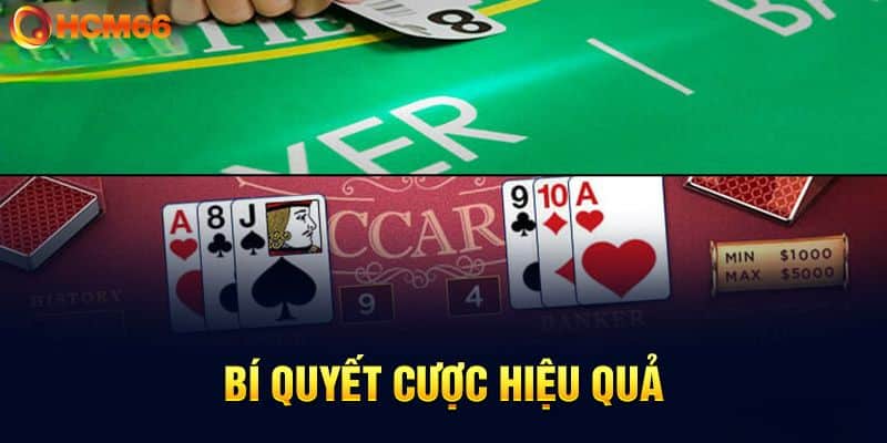 Kinh nghiệm chơi Baccarat thắng lớn